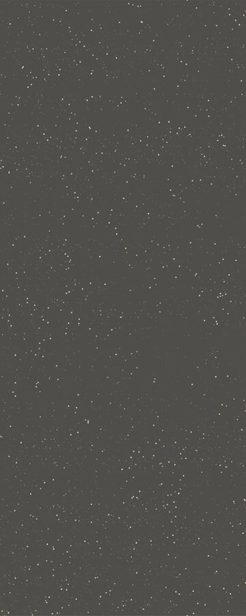 PanElle Individual - Dark Grey Metallic