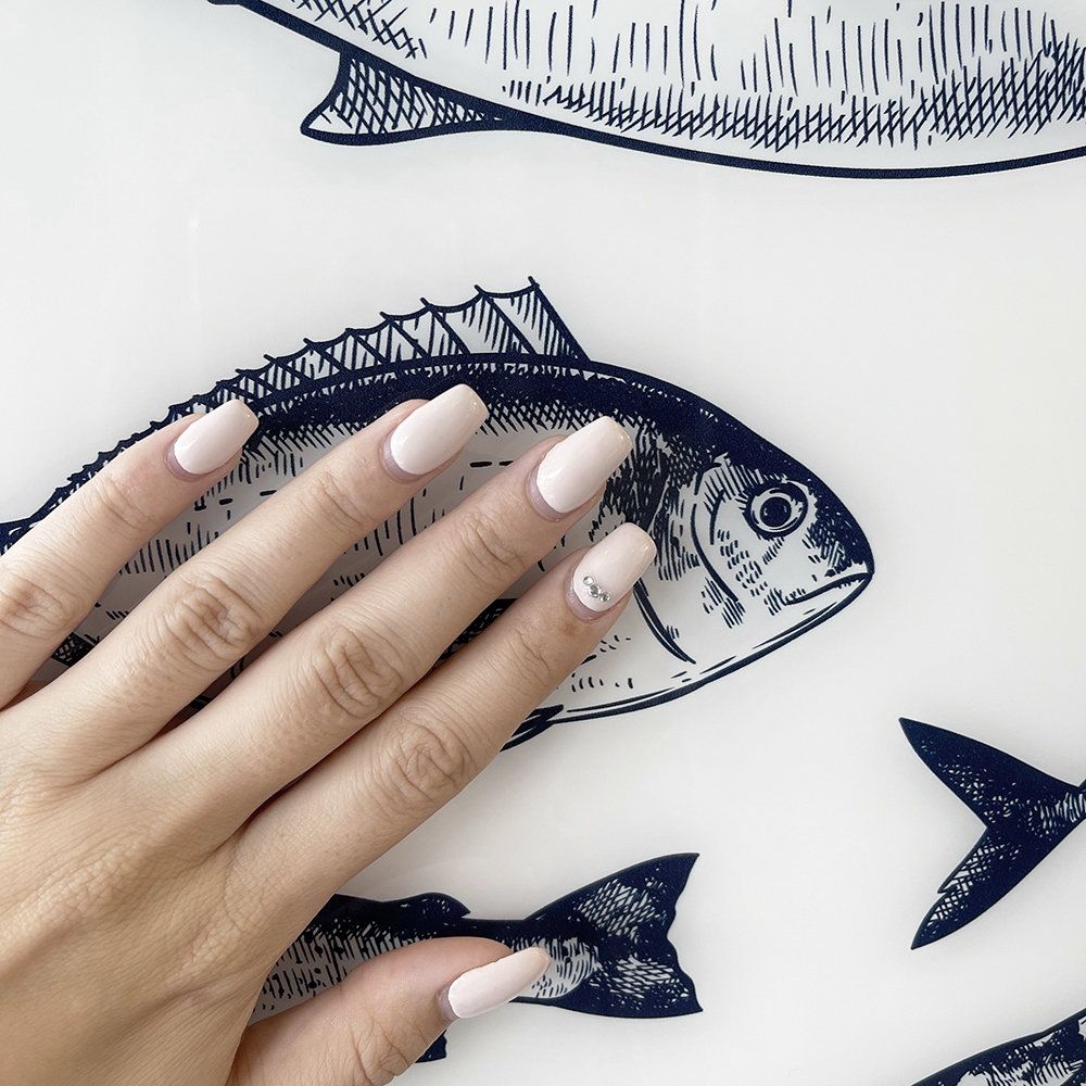 Sea Life - PanElle Designs