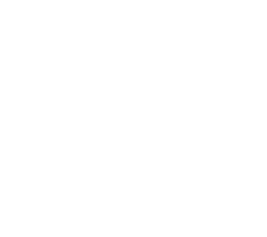 Téléchargement du flyer