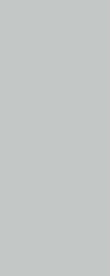 PanElle Individual - Grey