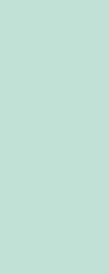PanElle Individual - Mint