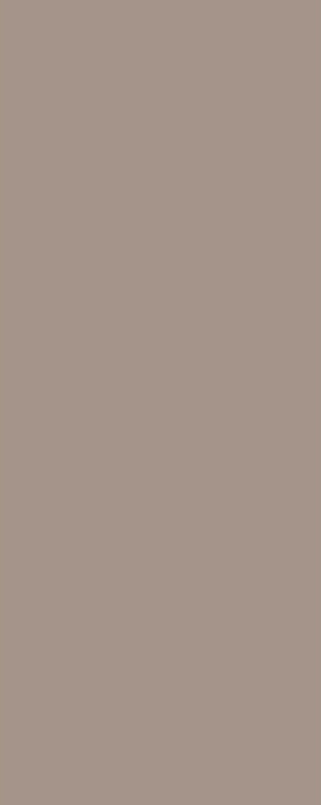 PanElle Individual - Taupe Metallic