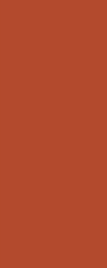 PanElle Individual - Burnt Orange