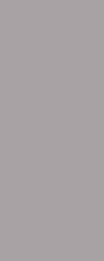 PanElle Individual - Medium Grey
